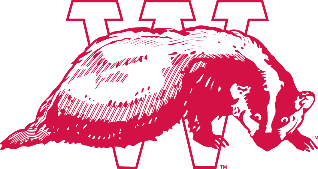 Wisconsin Badgers 1936-1947 Alternate Logo t shirts iron on transfers